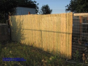 what-does-a-chicken-coop-need